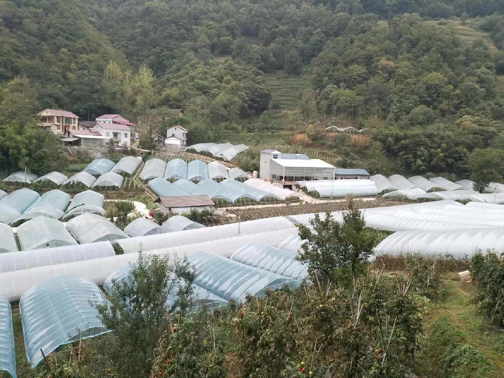 幫蔬菜保溫，讓農(nóng)戶(hù)暖心